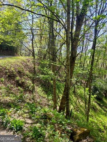 0 LOT 40 Pipetrack Gap Road, Scaly Mtn, NC 28775