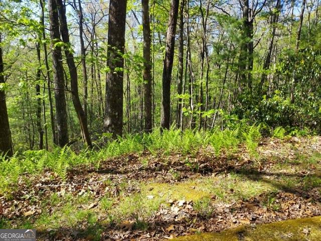 0 LOT 40 Pipetrack Gap Road, Scaly Mtn, NC 28775