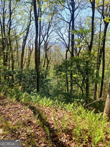 0 LOT 40 Pipetrack Gap Road, Scaly Mtn, NC 28775