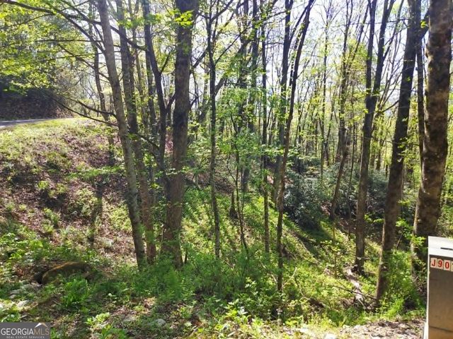 0 LOT 40 Pipetrack Gap Road, Scaly Mtn, NC 28775