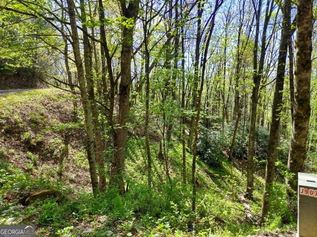 0 LOT 40 Pipetrack Gap Road, Scaly Mtn, NC 28775