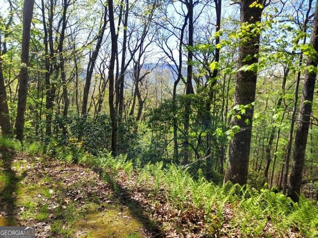 0 LOT 40 Pipetrack Gap Road, Scaly Mtn, NC 28775