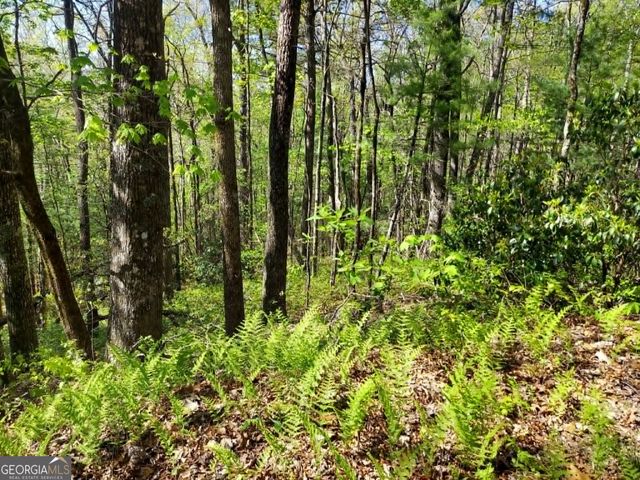 0 LOT 40 Pipetrack Gap Road, Scaly Mtn, NC 28775