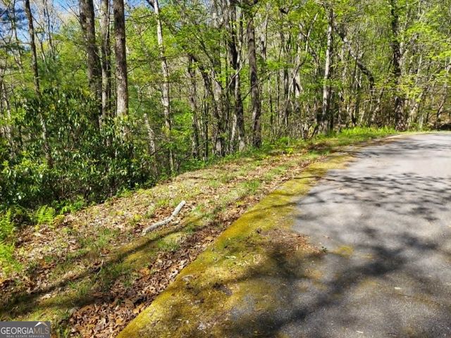 0 LOT 40 Pipetrack Gap Road, Scaly Mtn, NC 28775