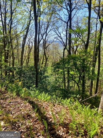 0 LOT 40 Pipetrack Gap Road, Scaly Mtn, NC 28775