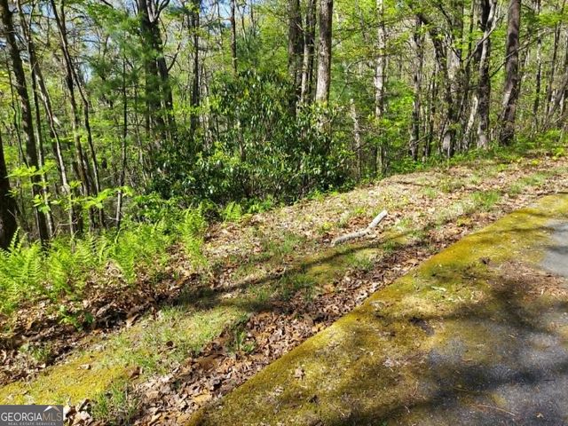 0 LOT 40 Pipetrack Gap Road, Scaly Mtn, NC 28775