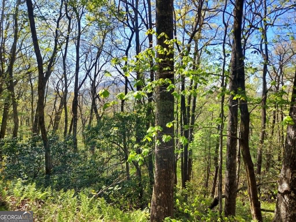 0 LOT 40 Pipetrack Gap Road, Scaly Mtn, NC 28775