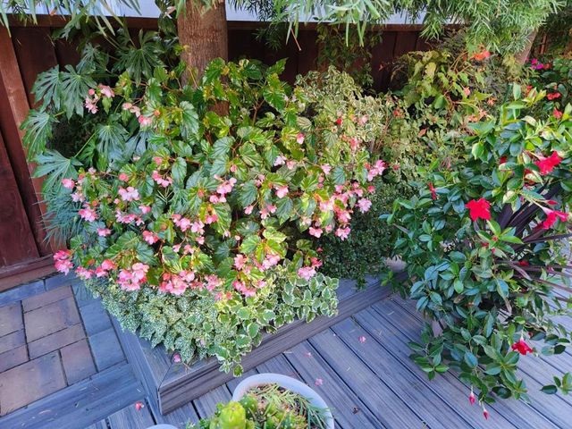 22014 Baxley Court, Cupertino, CA 95014