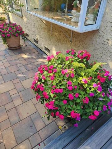 22014 Baxley Court, Cupertino, CA 95014