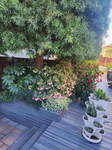 22014 Baxley Court, Cupertino, CA 95014