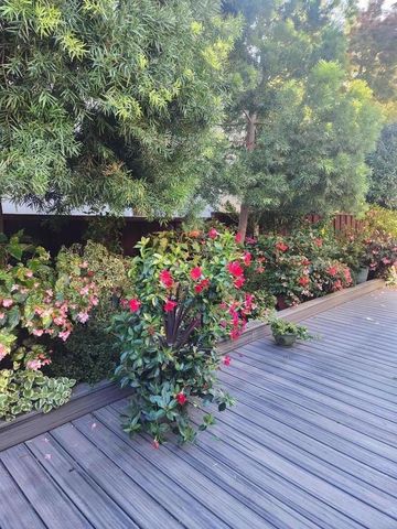 22014 Baxley Court, Cupertino, CA 95014