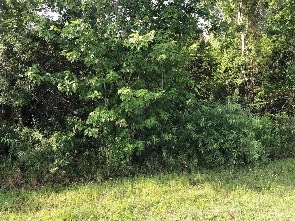 630 Shady Hollow BLVD W, NAPLES, FL 34120 — photo 5