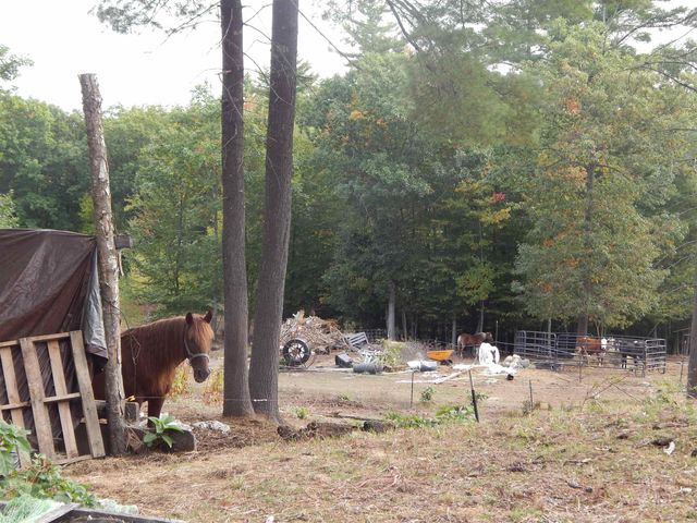 125 Corn Hill Road, Brownfield, ME 04010