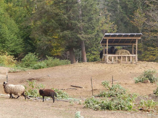 125 Corn Hill Road, Brownfield, ME 04010