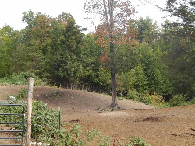 125 Corn Hill Road, Brownfield, ME 04010