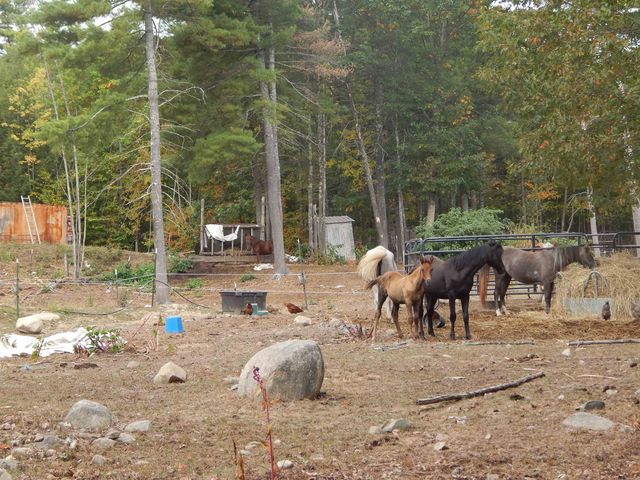 125 Corn Hill Road, Brownfield, ME 04010