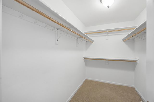 5701 KELSEY DR, Columbia, MO 65202