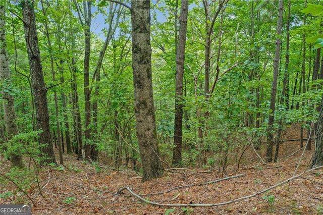 0 Lakeside Trail, Ellijay, GA 30540