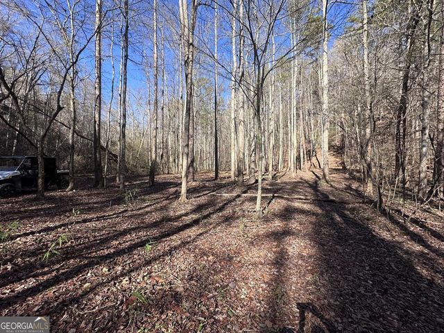 94 Springfield Parkway, Ellijay, GA 30540