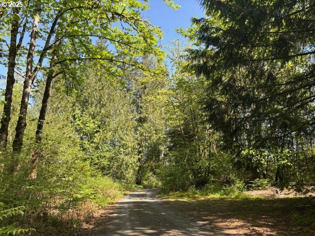 30725 S WALL St, Colton, OR 97017