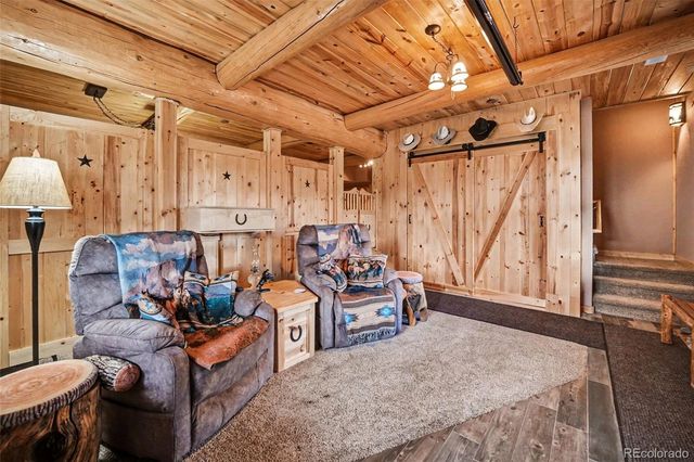 28 Juniper Way, Bailey, CO 80421