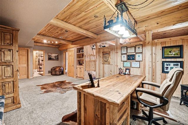 28 Juniper Way, Bailey, CO 80421