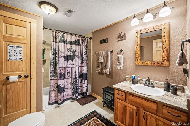 28 Juniper Way, Bailey, CO 80421
