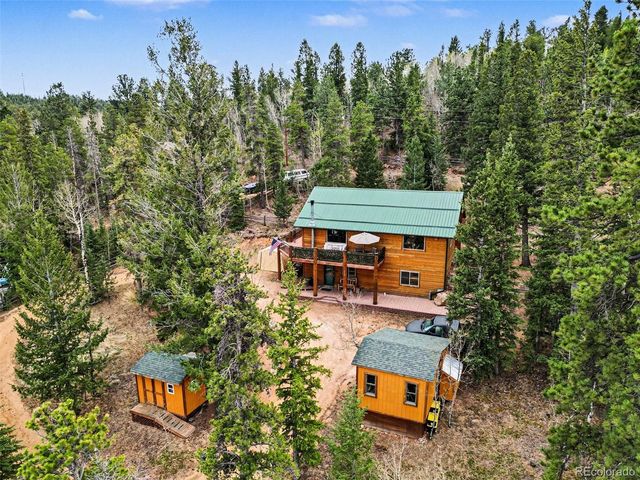 28 Juniper Way, Bailey, CO 80421