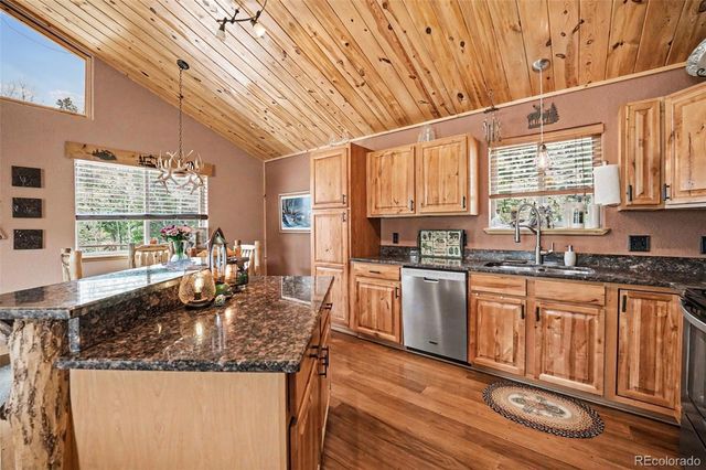 28 Juniper Way, Bailey, CO 80421
