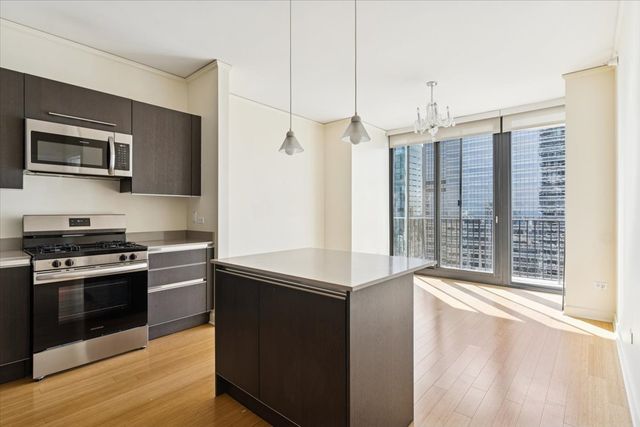 225 N Columbus Drive 5513, Chicago, IL 60601