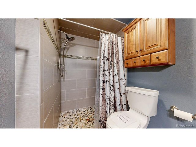 98 County Road 4905, Grand Lake, CO 80447