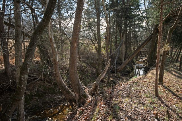 3068 Chance Ct, Cross Plains, TN 37049