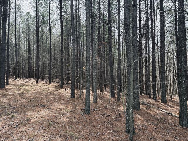 215 Honeybee Court, Jasper, TN 37347