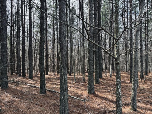 215 Honeybee Court, Jasper, TN 37347