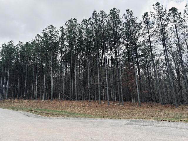 215 Honeybee Court, Jasper, TN 37347