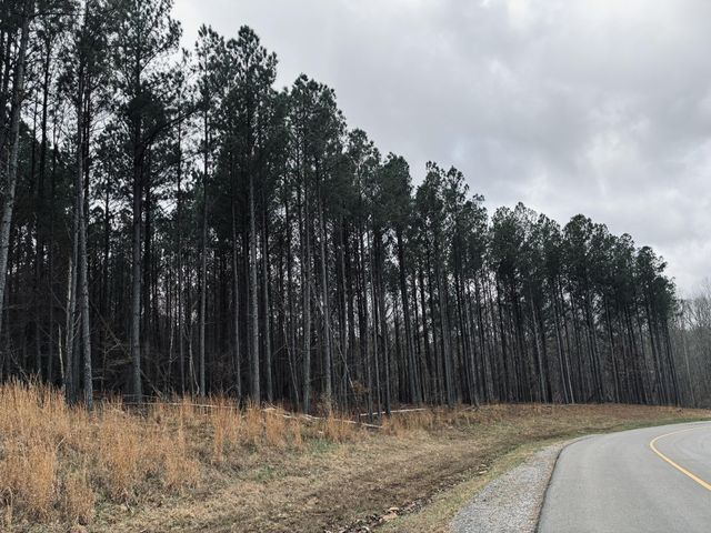 215 Honeybee Court, Jasper, TN 37347