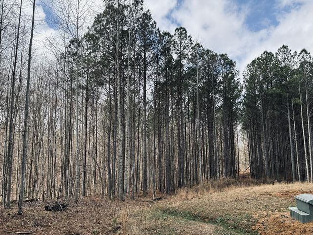 215 Honeybee Court, Jasper, TN 37347