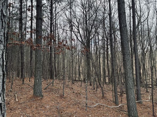 215 Honeybee Court, Jasper, TN 37347