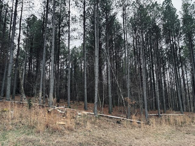 215 Honeybee Court, Jasper, TN 37347