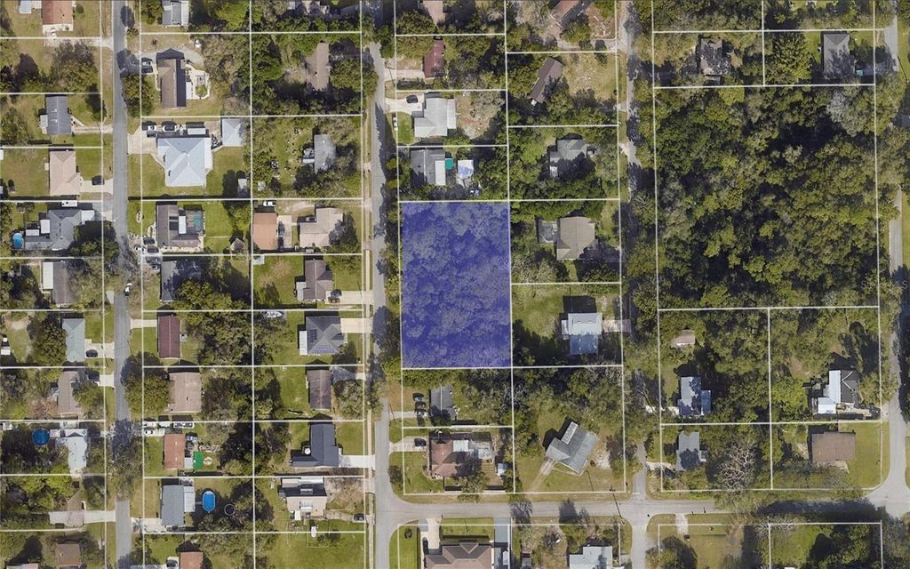 221 AGUA VISTA STREET, Debary, FL 32713