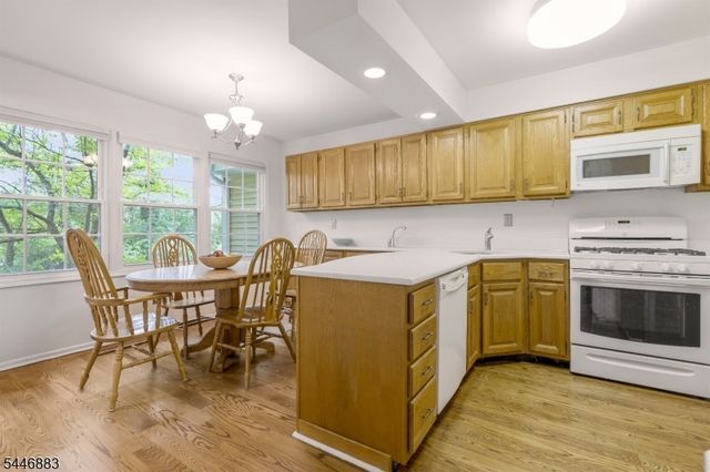 9 Northbridge Pl, Morris Twp., NJ 07960
