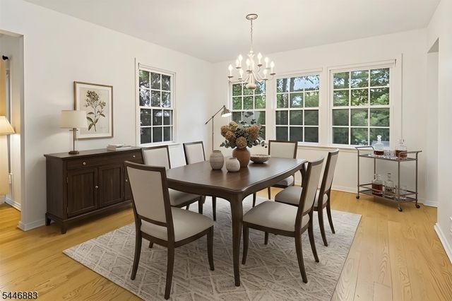 9 Northbridge Pl, Morris Twp., NJ 07960