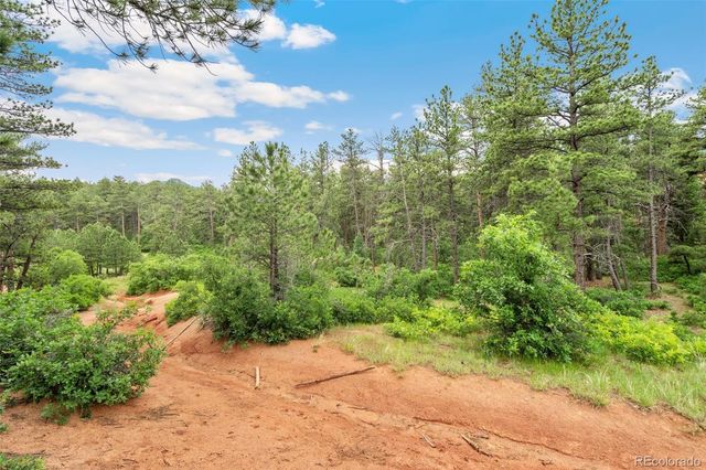 4580 Delaware Drive, Larkspur, CO 80118