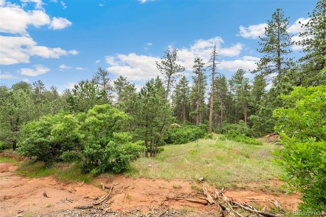 4580 Delaware Drive, Larkspur, CO 80118