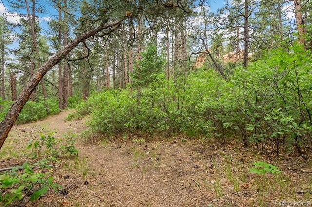 4580 Delaware Drive, Larkspur, CO 80118