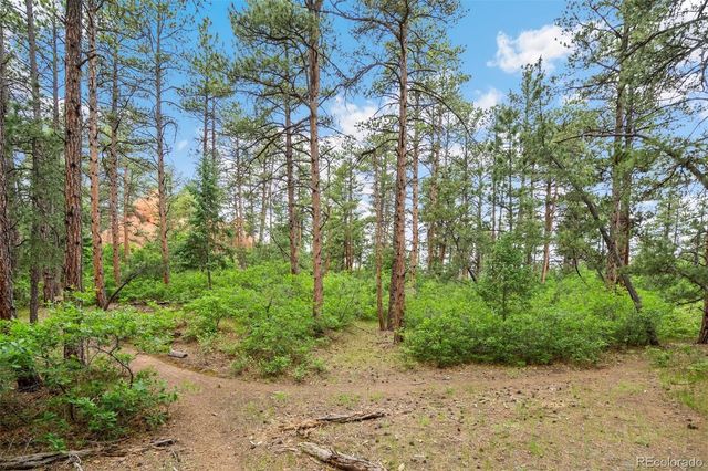 4580 Delaware Drive, Larkspur, CO 80118