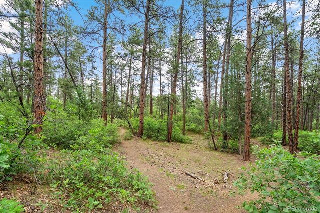 4580 Delaware Drive, Larkspur, CO 80118