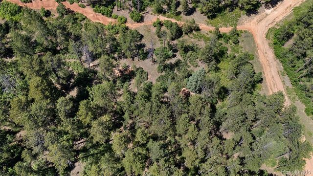 4580 Delaware Drive, Larkspur, CO 80118