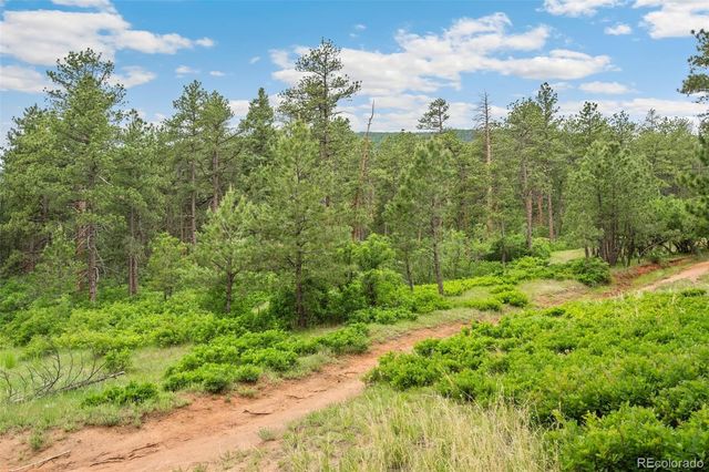 4580 Delaware Drive, Larkspur, CO 80118