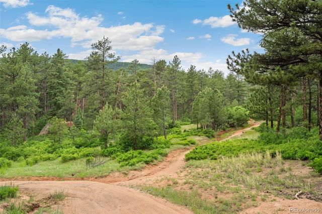 4580 Delaware Drive, Larkspur, CO 80118